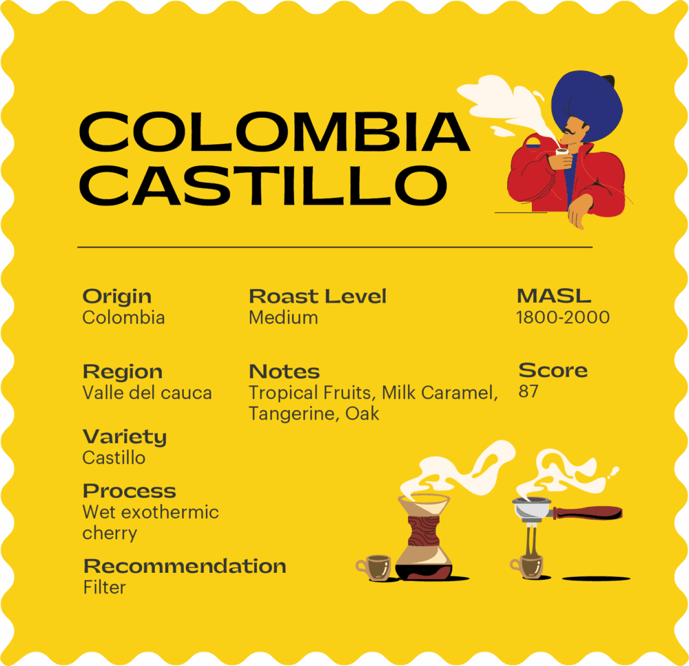 Colombia Castillo (250 G) - Image 2